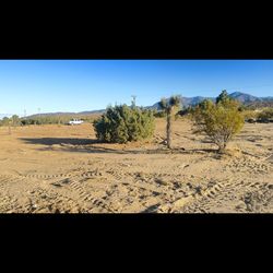 tractor Work Clean Up 