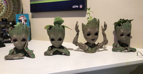 Set Of 4 Plastic Groot Planters W/ Succulent