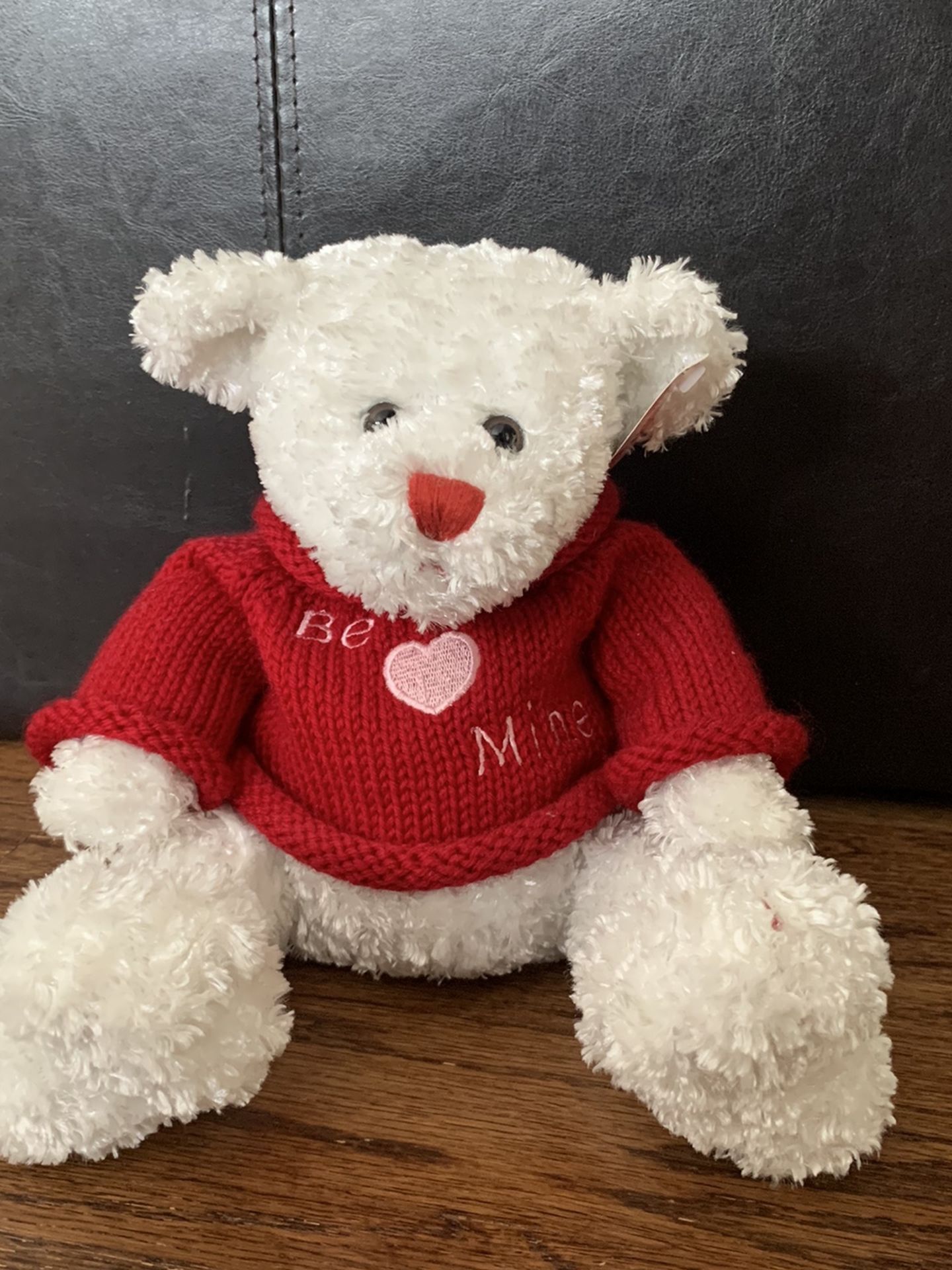 Brand New Valentines Teddy Bear