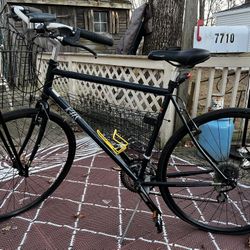 Bicycle For Sale 