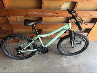 24 in bike