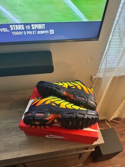 Nike Air Max Plus Sneakers🔥
