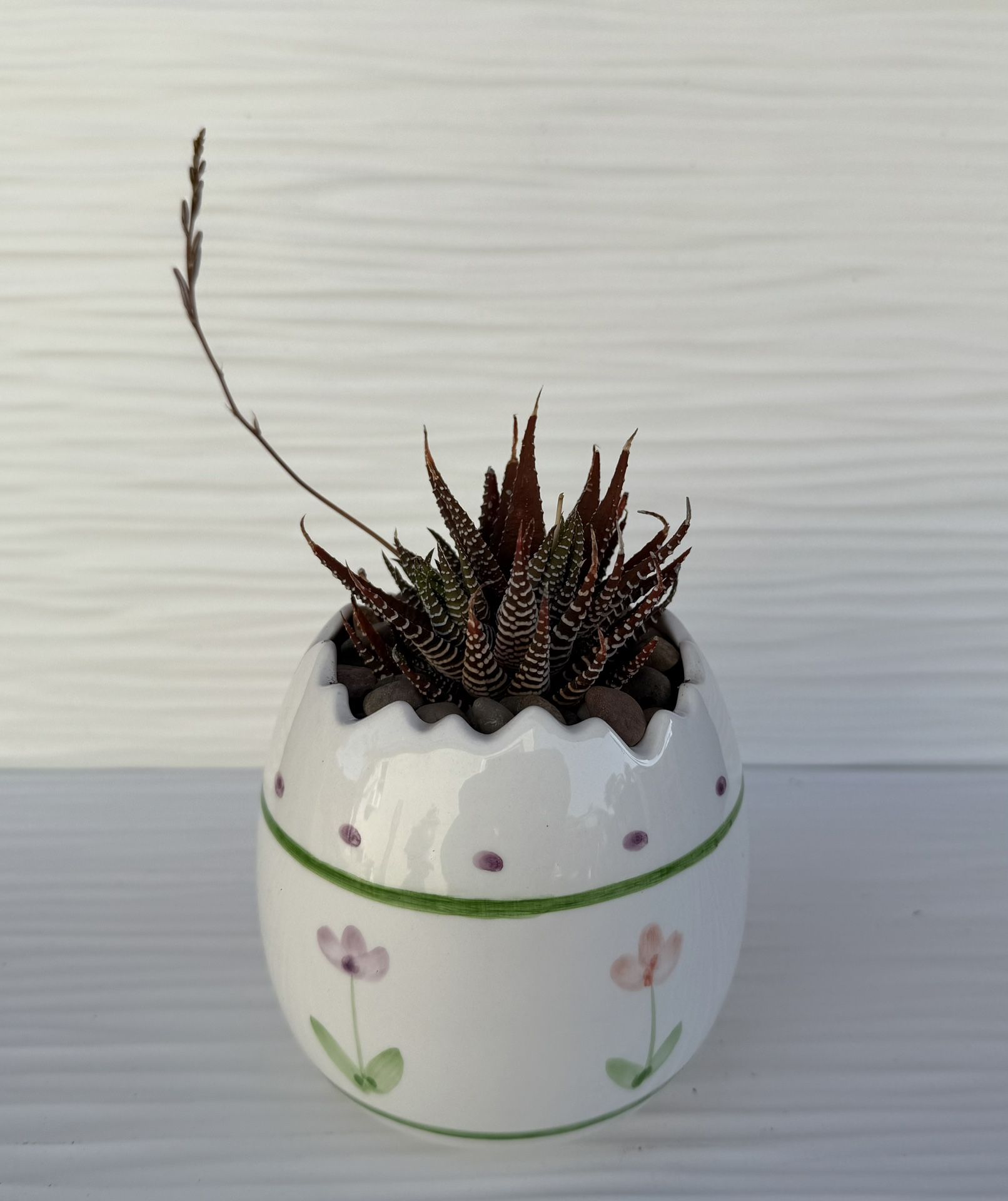 Very Cute Vintage Ceramic Planter 4.5”H Succulent Zebra Haworthia