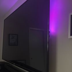 65" Vizio Tv 