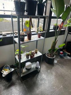 Metal Plant Stand