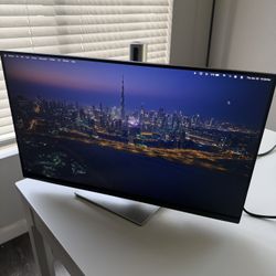 Dell 24” Professional Series Monitor