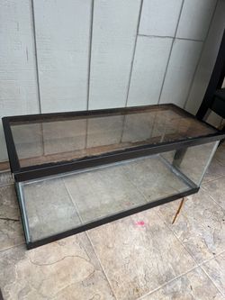 20 gallon long tank with lid