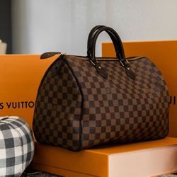 Louis Vuittons handbags AUTHENTIC used