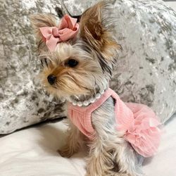 Dog Clothes And Accessories Dog Boutique 