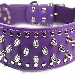Studded Dog Collar Small Purple In Color