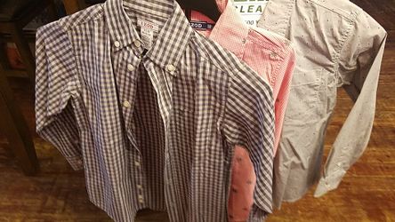 Boys shirts size 8