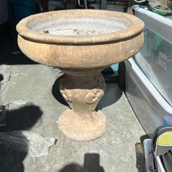 Bird Wash