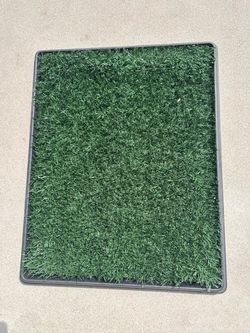 Pet potty grass