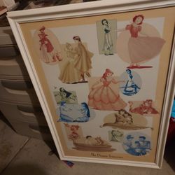 Awesome DISNEY Princesses  Framed PICTURE MAKE OFFER
