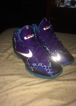 Lebron 11 hornets size 12