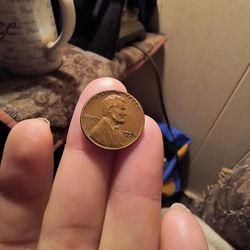 Wheat Pennies