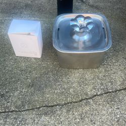 Cat Fountain