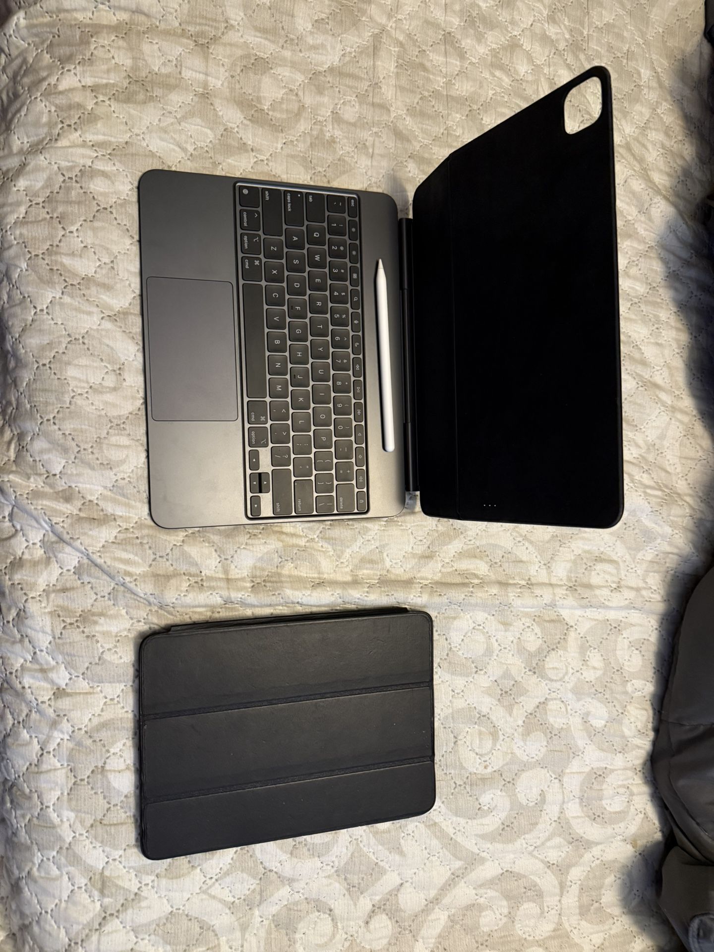 Ipad Case plus Apple Pencil Pro
