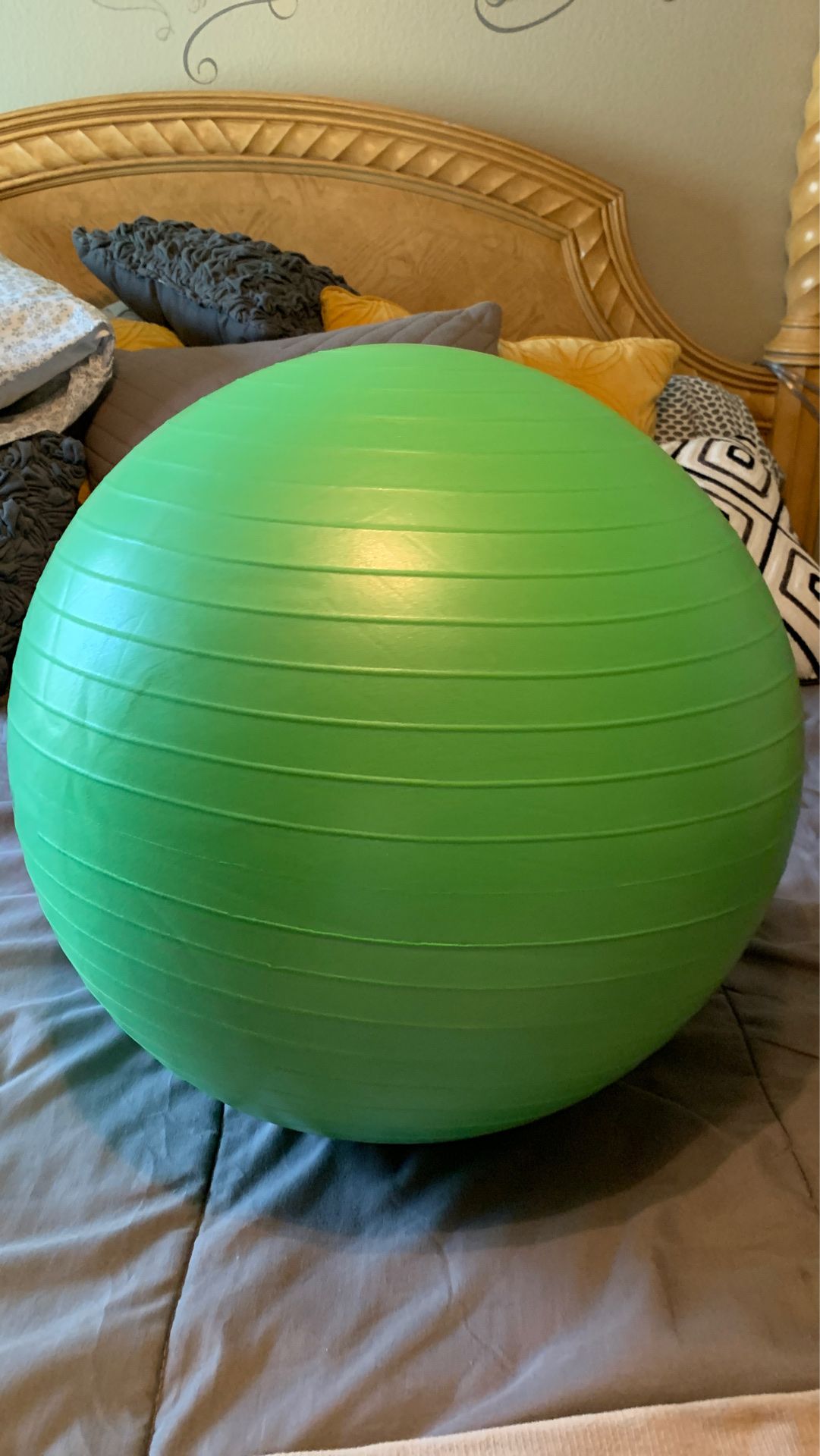 Exercise Ball