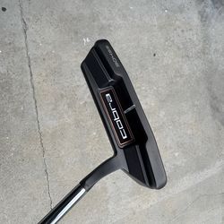 Cobra 304ss Putter like new