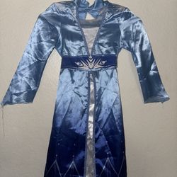 Disney Elsa Costume