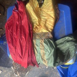 Princess raya Costume 