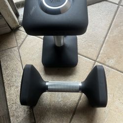 Dumbbells Set 20lbs