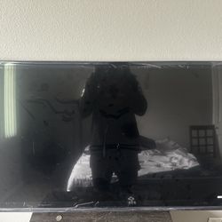 55in Google flatscreen TV