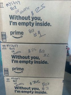 Mystery stuffys sealed in a box