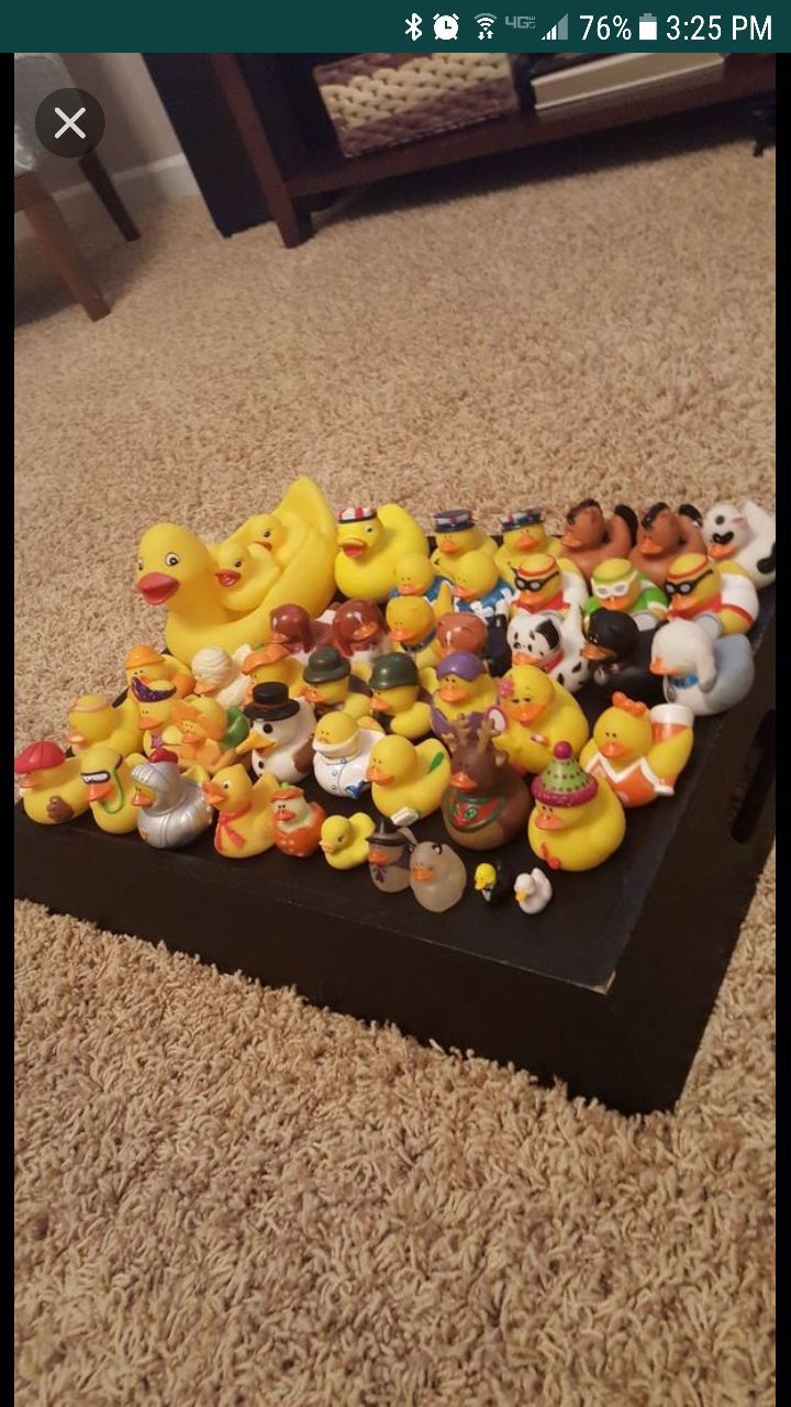 48 rubber ducks