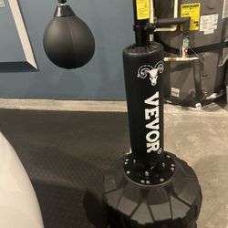 Punching Bag