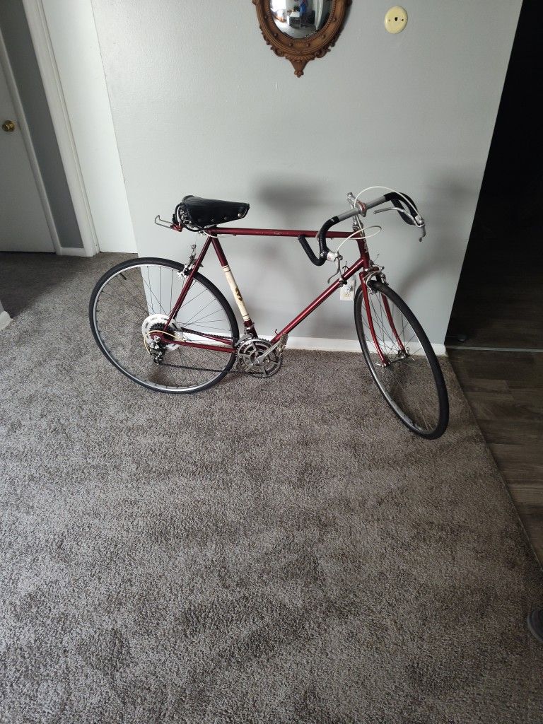 Parliament Racing Bike (Early 70's)