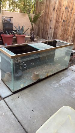 120 gallon fish tank