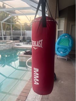 Heavy bag