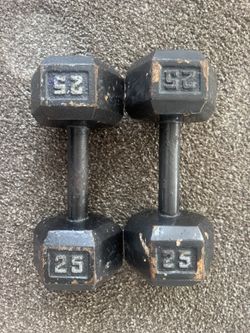25 Lb Dumbbell X 2