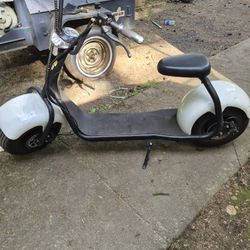 Citycoco Electric Bike 