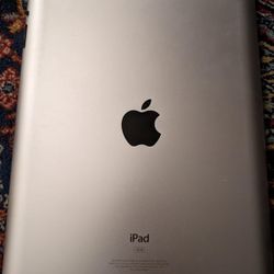 Older Ipad No Charger$20