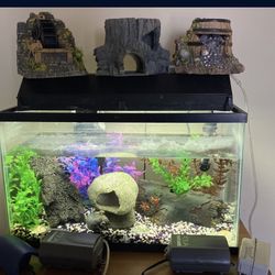 Fish Tank