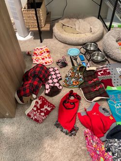 Dog Clothing and Accessories Bundle