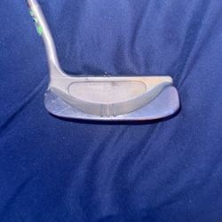 Silver Ray Putter