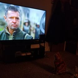 65' Vizio Tv 