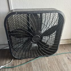 Fan