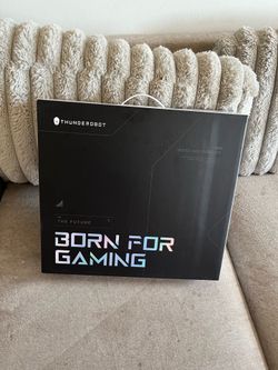Thunderobot laptop