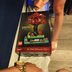 Lego 21346