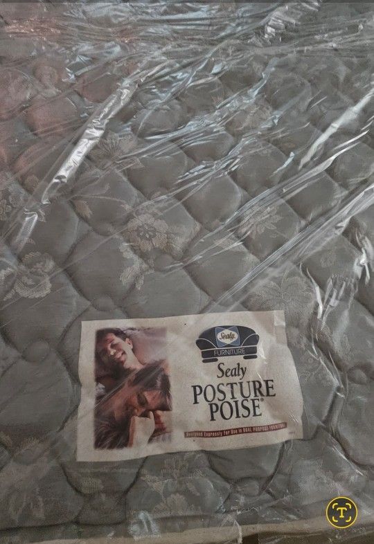 Queen Sealy Posture Poise Sofa Sleeper Mattress