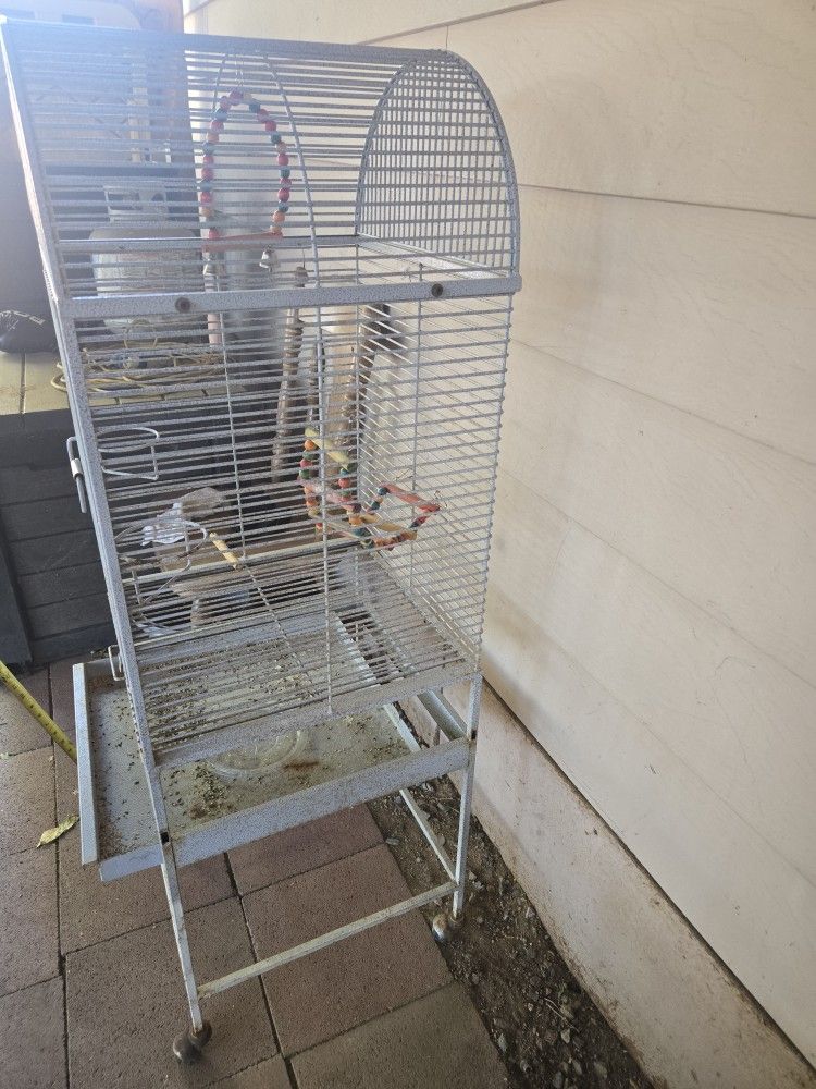 Bird Cage
