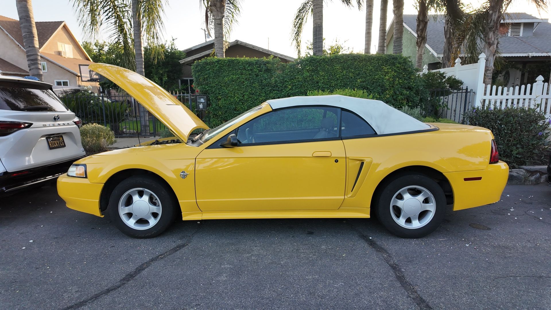 1999 Ford Mustang