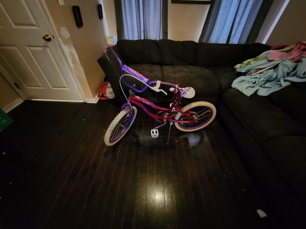 Pink and Purple 20" Bike 