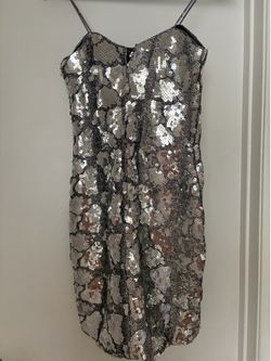 Silver Sequined Mini Dress