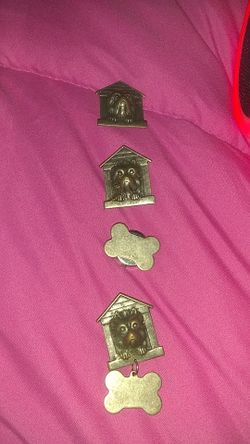 4 button covers dogs